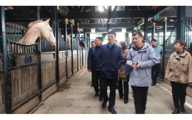 高雷副廳長在野馬集團調(diào)研時表示，要通過科技助力，精準解決“卡脖子”問題